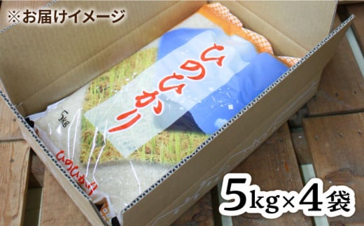 【2024年11月以降順次発送】糸島産 ひのひかり 20kg 糸島市 / 三島商店 [AIM075]