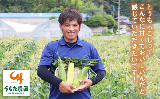 果物 みたいに 極甘 ！ 早朝 収穫 とうもろこし Lサイズ (300g)× 8本 糸島市 / 有限会社ウラタ農園 [ALI003]