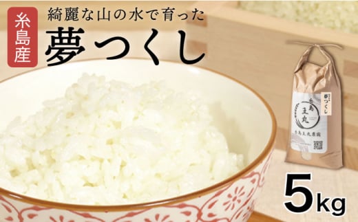 【令和6年産新米】糸島産 夢つくし 5kg　糸島市 / 糸島王丸農園 ( 谷口汰一 )【いとしまごころ】[AAZ001]