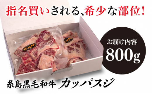 【A4ランク糸島和牛】 希少部位 カッパスジ 800g 糸島市 / いとしまミートデリ工房 [ACA375] 牛肉 バーベキュー BBQ