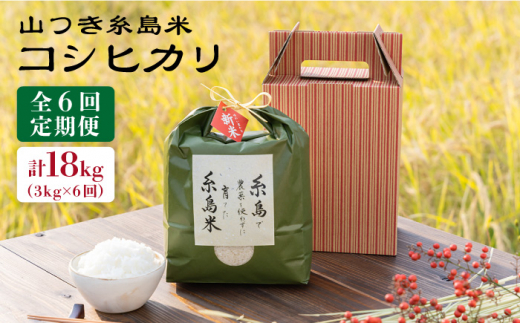 【全6回定期便】 糸島 で 農薬 を使わずに育てた山つき 糸島米 3kg （ コシヒカリ ） 糸島市 / 株式会社やました [ARJ013]