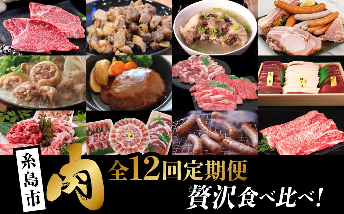 【全12回定期便】糸島・贅沢お肉定期便 毎月3〜4人前 （ 博多和牛 糸島和牛 糸島豚 はかた地どり イノシシ ウインナー シャトーブリアン ステーキ ハム ソーセージ ハンバーグ ） 糸島市 [AAH009] 地鶏 モモ  ハンバーグ ジビエ 肩ロース 焼肉 水炊き お肉 牛肉 豚肉