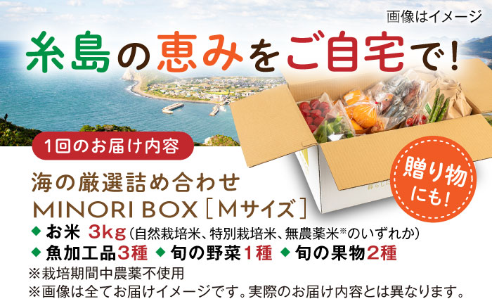 【全4回定期便】糸島産 魚 米 野菜 果物 厳選詰め合わせ MINORI BOX Mサイズ【季節ごとに年4回お届け】 糸島市 / emma.Inc / 米 魚 野菜 果物 詰め合わせ [AOP005] 米 こめ 魚 さかな 野菜 やさい 果物 くだもの 糸島 詰め合わせ MINOR
