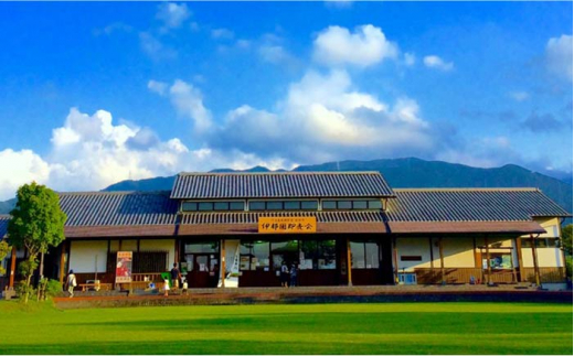 【 全3回 定期便 】 福岡県 糸島産 旬 の 野菜 盛り合わせ セット 《糸島》【株式会社フロンティア・アドバンス】[AWC007]