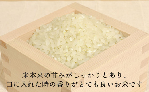 【全12回 定期便】 糸島産 夢つくし 10kg × 12回（月1回）糸島市 / 糸島王丸農園 ( 谷口汰一 )【いとしまごころ】[AAZ008]