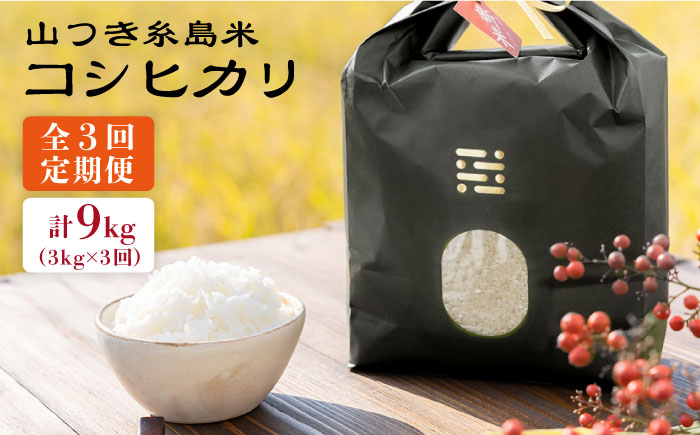 【全3回定期便】糸島 で 農薬 を使わずに育てた 山つき 糸島米 3kg （ コシヒカリ ） 糸島市 / itoshimacco / 株式会社やました [ARJ029]