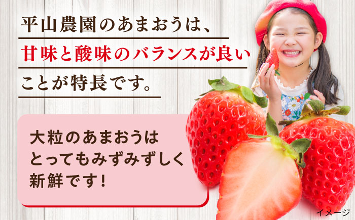糸島産 あまおう 1箱（800-900g） 糸島市 / 平山農園 [AXN003] あまおう いちご 苺 フルーツ 果物 期間限定 季節限定 贈答用 化粧箱