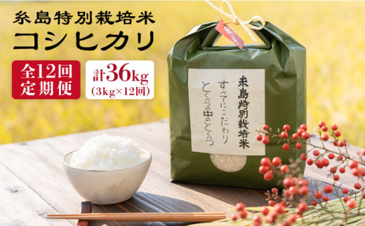 【全12回定期便】とくべつの中のとくべつ 糸島 特別栽培米 3kg （ コシヒカリ ） 糸島市 / itoshimacco / 株式会社やました [ARJ022]