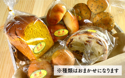 【 全6回 定期便 】身体がよろこぶ パン セット ( 卵 / 乳製品 不使用 )《糸島》【天然パン工房楽楽】【いとしまごころ】[AVC006]