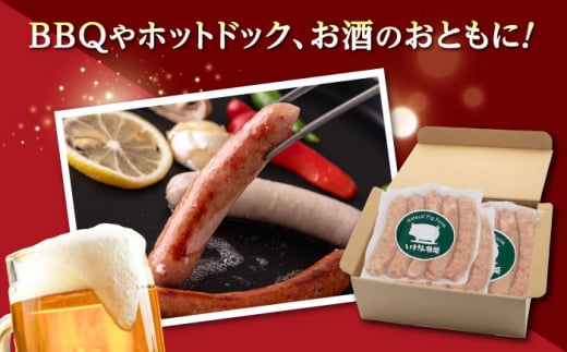 一貴山豚 あらびきフランク 20本(5本×4パック) 糸島市 / いきさん牧場 豚肉　ソーセージ ウインナー [AGB068] 豚肉 ソーセージ ウインナー ホットドック フランク 豚 肉 ポーク あらびき