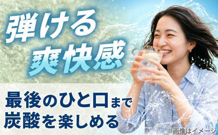 強炭酸水 プレーン 500ml × 24本  糸島市 / スターナイン 炭酸水 国産 [ARM002] 炭酸水 500ml 24本 プレーン 国産 炭酸 強炭酸 ペットボトル 常温