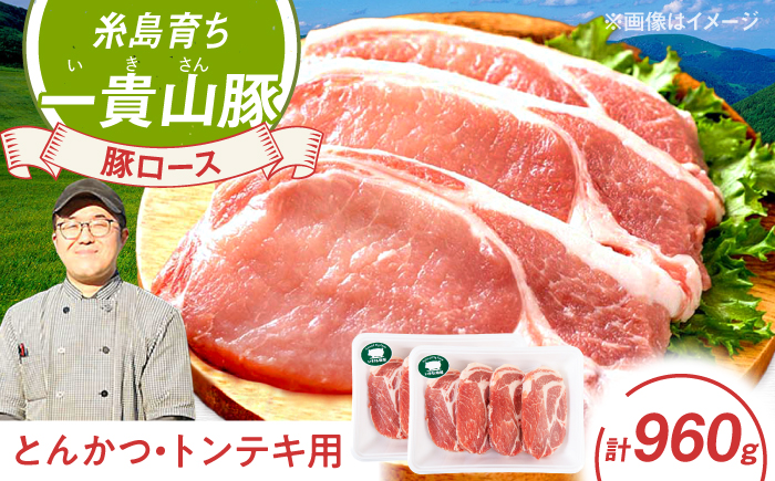 一貴山豚 ロースとんかつ・トンテキ用 計960g(120g×8枚) 糸島市 / いきさん牧場 豚肉 [AGB031] 豚肉 豚 ブランド豚 一貴山豚 ポーク ロース 生姜炒め ポークジンジャー