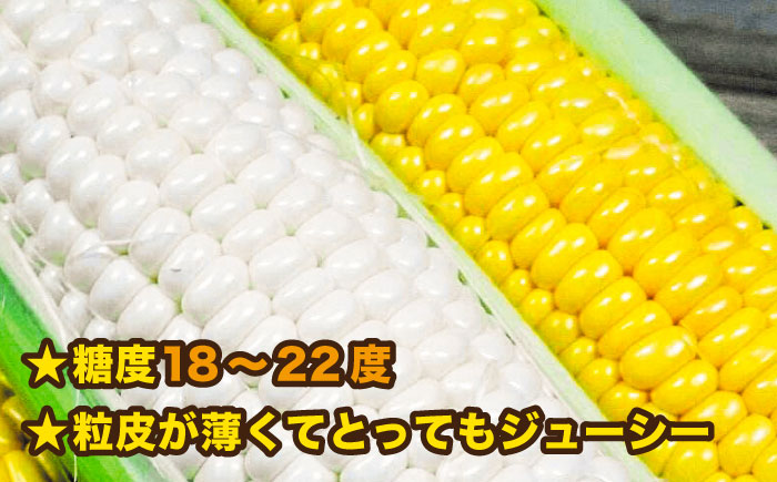 糸島産 トウモロコシ 「もきっこ」 白黄ミックス (5本前後) 糸島市 / 内田農業 とうもろこし コーン [AZH006]