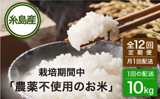 【全12回(月1回)定期便】栽培期間中 農薬不使用のお米 ヒノヒカリ 10kg 糸島市 シーブ [AHC046]