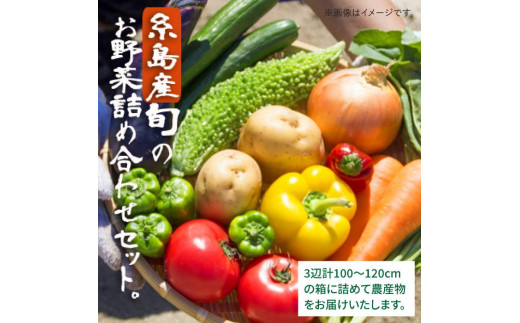 福岡県 糸島産 旬 の 野菜 盛り合わせ セット《糸島》【株式会社フロンティア・アドバンス】 [AWC006]