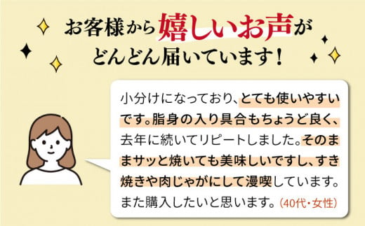 【250gの小分けパック】黒毛和牛 切り落とし 250g×4P 計1kg もも バラ ミックス A4ランク 糸島 【糸島ミートデリ工房】 [ACA031] 牛肉  和牛 小分 250  牛丼 すき焼き 焼肉 BBQ 赤身 国産 福岡 ランキング 上位 人気 おすすめ