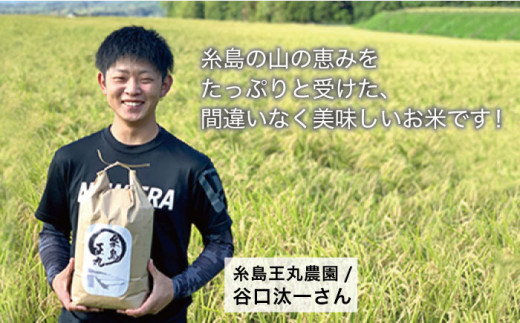 【令和6年産新米】糸島産 夢つくし 10kg　糸島市 / 糸島王丸農園 ( 谷口汰一 ) /いとしまごころ [AAZ005]