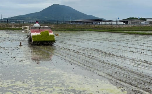 ＼新米予約／【白米・玄米から選択可能！】夢つくし 10kg ( 5kg × 2袋 )  糸島市 / 糸島パッションフルーツ工房 [AVK002]