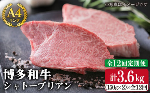 【 全12回 定期便 】 【極厚 シャトーブリアン 】 約 150g × 2枚 A4 ランク 博多和牛 ヒレ 肉 極厚 シャトーブリアン 《糸島》 【糸島ミートデリ工房】 [ACA135] 厚切 ステーキ ランキング 上位 人気 おすすめ