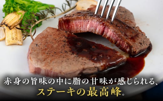 【全12回定期便】【A4/A5等級】博多和牛 ヒレステーキ 600g (100g×6枚) 糸島市 / ヒサダヤフーズ 黒毛和牛 牛肉 ヒレ肉  [AIA089] ステーキ ヒレ ヒレ肉 フィレ 牛肉 赤身 黒毛和牛 国産 博多 和牛 おすすめ
