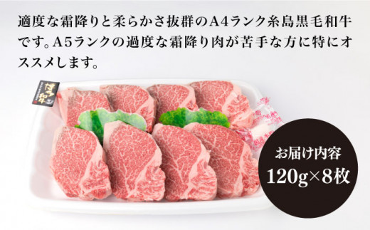 【厚切ヒレステーキ】120g×8枚 A4ランク 博多和牛 糸島 【糸島ミートデリ工房】[ACA046] ステーキ ヒレ ヒレ肉 フィレ ヘレ 牛肉 赤身 黒毛和牛 国産