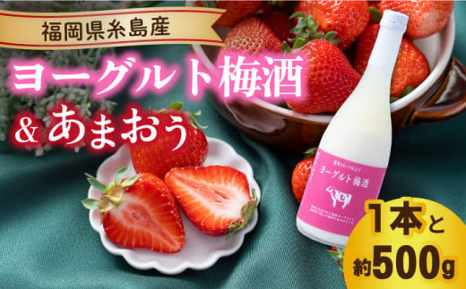 【先行予約】【冬】ヨーグルト梅酒720ml ×あまおう 約250g×2パック  【2024年12月上旬以降順次発送】 糸島市 / 南国フルーツ株式会社 [AIK012]