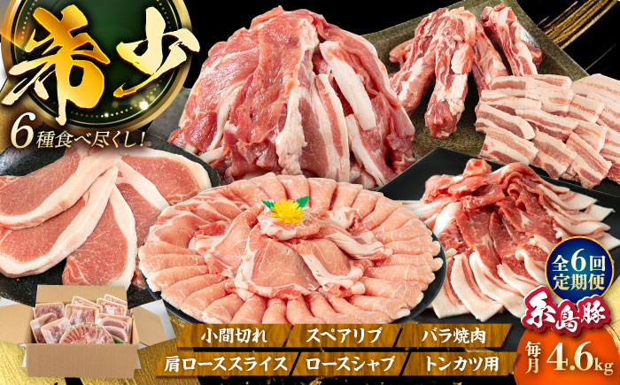 【全6回定期便】計4.6kg！糸島豚 食べ尽くしセット ( とんかつ / 肩ロース / しゃぶしゃぶ / 豚バラ / スペアリブ / 小間切れ ) 糸島市 / トラヤミートセンター [AJD013] 豚肉 スライス しゃぶしゃぶ ロース スペアリブ こま切れ
