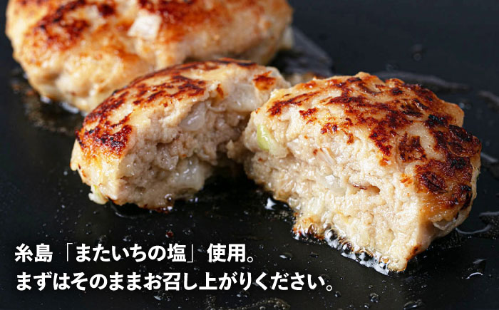 クローバーのとんバーグ 150g × 8個 糸島市 / 福岡マルシンフーズ / ハンバーグ 豚肉 [ASQ001]