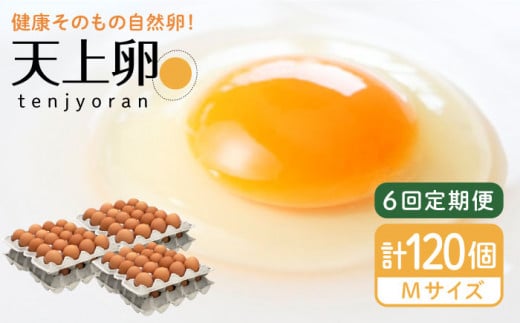 【 全6回 定期便 】 こだわり の 卵 「 天上卵 」 20個 セット 《糸島》【株式会社おおはまファーム】 [AKH003]