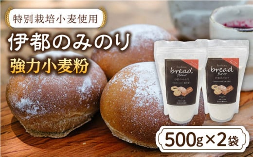 特別栽培 小麦 使用 伊都 の みのり（ 500g × 2袋 ）《糸島》【天然パン工房楽楽】【いとしまごころ】[AVC002]