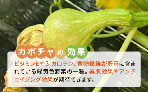 カボチャ 500g 冷凍 カット済み 旬の時期に急速冷凍 【福岡県糸島産】 糸島市 / オーガニックナガミツファーム 野菜 南瓜 かぼちゃ [AGE041]