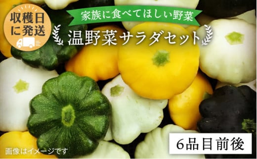 【 栽培期間中農薬 ・ 化学肥料 不使用 】 温野菜 サラダ セット （ 6品前後 ） 《糸島》【オーガニックナガミツファーム】 [AGE015]