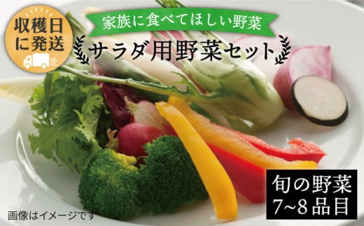 朝採れ！【 栽培 期間中、 農薬・化学肥料不使用 】 サラダ用 糸島 野菜 セット 《糸島》【オーガニックナガミツファーム】 [AGE002]