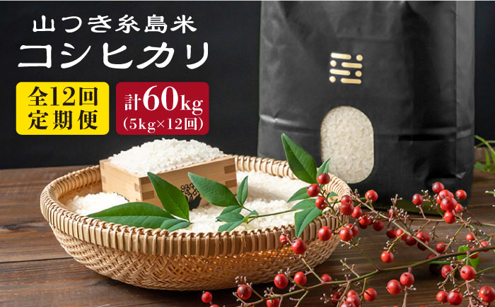 【全12回定期便】糸島 で 農薬 を使わずに育てた 山つき 糸島米 5kg （ コシヒカリ ） 糸島市 / itoshimacco / 株式会社やました [ARJ036]