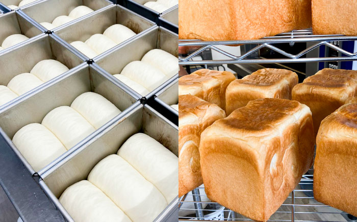 トーストが美味しい！【常温】こだわり 食パン 1本 (プレーン)  角型 山型 糸島市 / 糸島食ぱんや [AAP013] [AAP013] パン 食パン ブレッド トースト 卵不使用 離乳食 マーガリン不使用 無添加