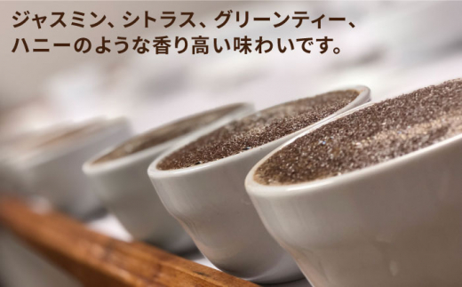 中煎り コーヒー 豆 250g × 2袋 （ 豆 ・ 粉 選べます ） ニカラグア産 エルポルベニール農園 ジャバニカ種 オレンジハニー 《糸島》 【COFFEE UNIDOS】 [AQF005]