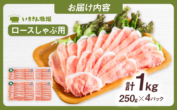 一貴山豚 ロースしゃぶ用 計1kg(250g×4p) 糸島市 / いきさん牧場 豚肉 [AGB045] 豚肉 豚 ブランド豚 一貴山豚 ポーク ロース スライス 250g 小分け