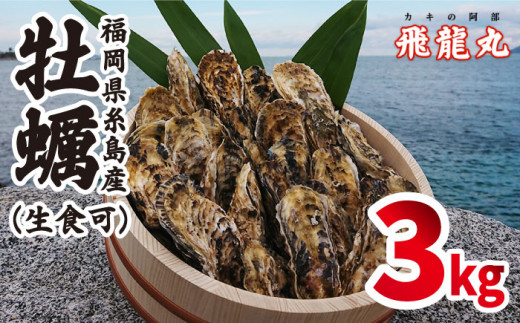 福吉の牡蠣 殻付き 生食用 3kg (簡易 ナイフ 付き) 福岡県 糸島産 糸島市 / かきの阿部 飛龍丸 [AZB002]