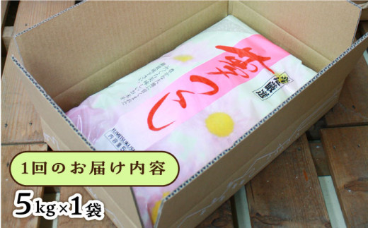 【全12回定期便】糸島産 夢つくし 5kg 糸島市 / 三島商店 [AIM007]