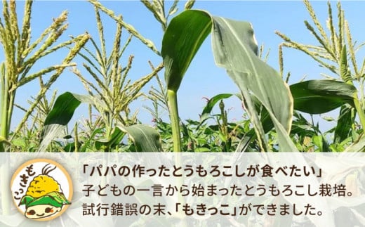 【 先行予約：2025年7月以降順次発送 】 糸島 トウモロコシ 『もきっこ』 白 黄 ミックス （ 8～10本 ） 糸島市 / 内田農業 [AZH003]