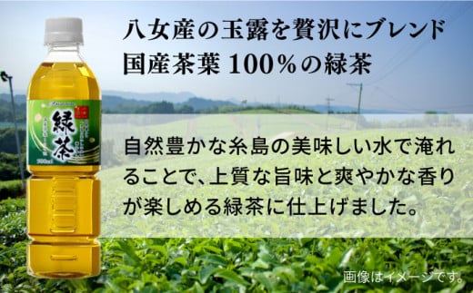 【全12回定期便】八女 玉露入り 緑茶 500ml × 24本  糸島市 / スターナイン お茶 ペットボトル [ARM017]