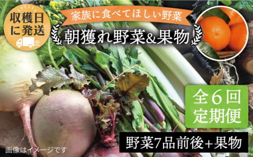 【 全6回 定期便 】 こだわり 野菜 （ 7品 前後 ） セット ＋ 果物 《糸島》【オーガニックナガミツファーム】 [AGE010]