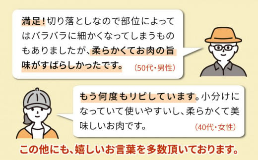 【250gの小分けパック】黒毛和牛 切り落とし 250g×4P 計1kg もも バラ ミックス A4ランク 糸島 【糸島ミートデリ工房】 [ACA031] 牛肉  和牛 小分 250  牛丼 すき焼き 焼肉 BBQ 赤身 国産 福岡 ランキング 上位 人気 おすすめ