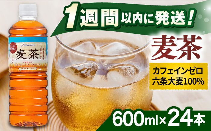 麦茶 600ml × 24本  糸島市 / スターナイン お茶 ペットボトル [ARM005]