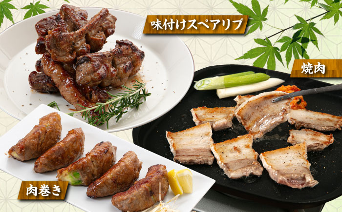 【全3回定期便】合計4.6kg！糸島豚食べ尽くしセット(とんかつ、肩ロース、しゃぶしゃぶ、豚バラ、スペアリブ、小間切れ) 糸島市 / トラヤミートセンター 豚肉 セット [AJD023]