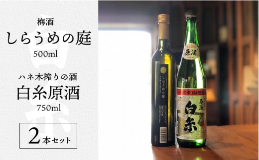 糸島 を 味わう セット ！ ハネ木 搾り の 酒 と 梅酒 の セット しらうめ「 香 」 《糸島》【白糸酒造】 [AVA003]