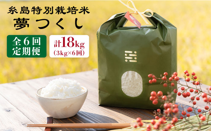 【全6回定期便】 とくべつ の中の とくべつ 糸島 特別栽培米 3kg （ 夢つくし ） 糸島市 / 株式会社やました [ARJ004]