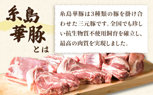 【全3回定期便】【 盛り合わせ 】 糸島華豚 ブロック肉4品盛合せセット 約2.8kg 糸島市 / 糸島ミートデリ工房 [ACA278]