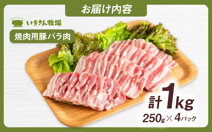 一貴山豚 焼肉用バラ肉 計1kg(250g×4p) 糸島市 / いきさん牧場 豚肉 [AGB035] 豚肉 豚 ブランド豚 一貴山豚 ポーク バラ 豚バラ 脂身 小分け 250g