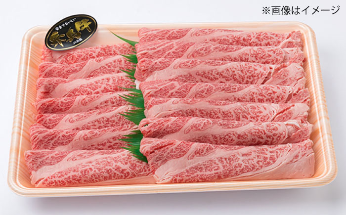 【全6回 定期便 】A4 ランク 博多 和牛 シャトーブリアン 180g×2枚 & A4 ランク 糸島 黒毛 和牛 肩ロース 500g & モモ肉 500g 糸島市 / 糸島ミートデリ工房 [ACA107] 高級部位 霜降り 国産 すき焼き 定期便 切り落とし しゃぶしゃぶ ステーキ 焼肉 赤身 黒毛和牛 国産